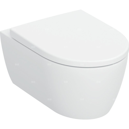 Zestaw wiszącej miski WC Geberit iCon, lejowa, ukryte mocowania, TurboFlush, z deską sedesową: T=53cm, Wolne opadanie=Tak, Zawiasy wypinane=Blokowane, Mocowanie=Od góry, Biały / Matowy