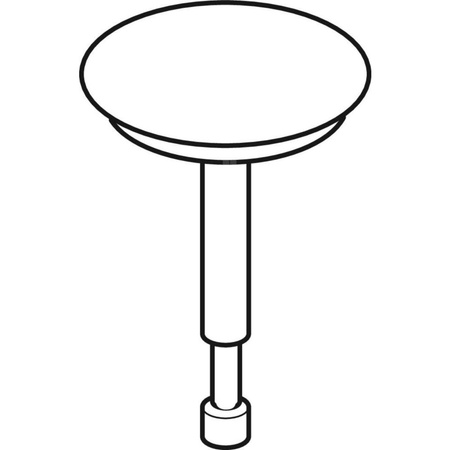 Korek zaworu Geberit: Chrom błyszczący