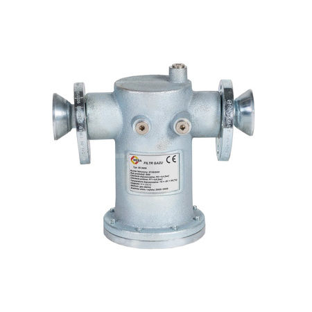 Filtr gazowy WEBA DN25, kołnierzowy - prosty