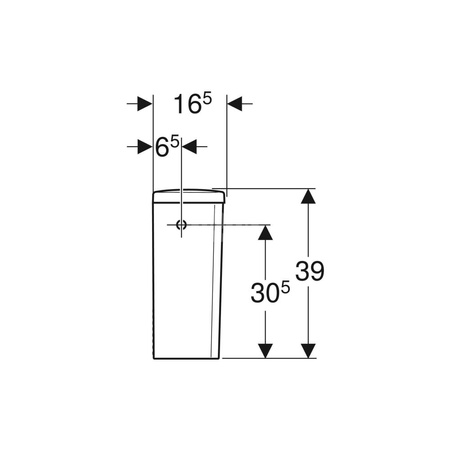 Przycisk Geberit do zaworu spustowego typ 290: Model=Spłukiwanie dwudzielne, Chrom błyszczący