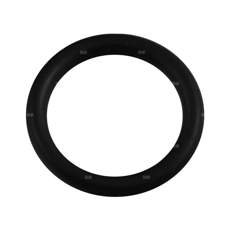 Oring wylewki 1/2" (5 szt.)