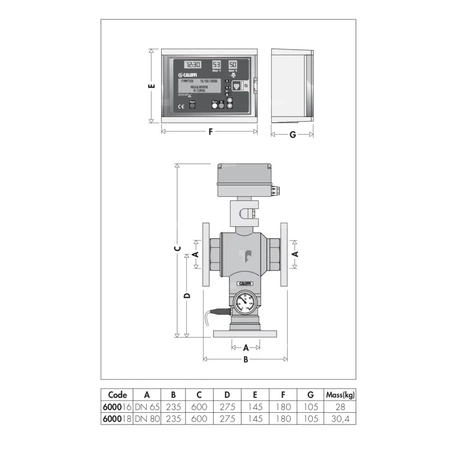 LEGIOMIX Elektroniczny zawór mieszający z programowalną dezynfekcją termiczną i dezynfekcją kontrolną. Przyłącza kołnierzowe - 2