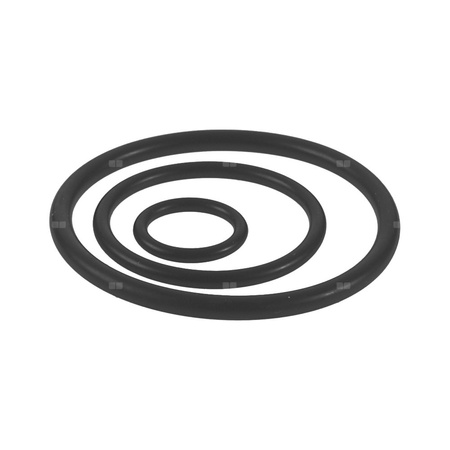 O-Ring EPDM Steel/Inox - 76.1