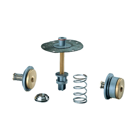 Zestaw naprawczy do zaworów antyskażeniowych typu BA4760 DN 65