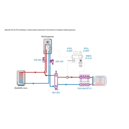 Siłownik termoelektryczny TSA-02 FO, nakrętka M30 x 1,5 mm, 24 V AC/DC, NC, funkcja sterowania ręcznego