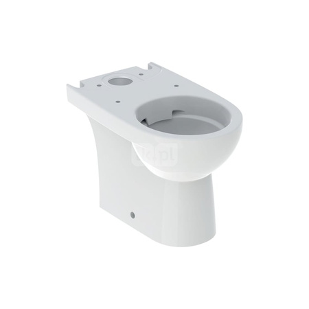 Deska sedesowa Geberit Selnova Compact, mocowanie od góry: Wolne opadanie=Tak, Zawiasy wypinane=Nie, Mocowanie=Od góry, Biały / Błyszczący