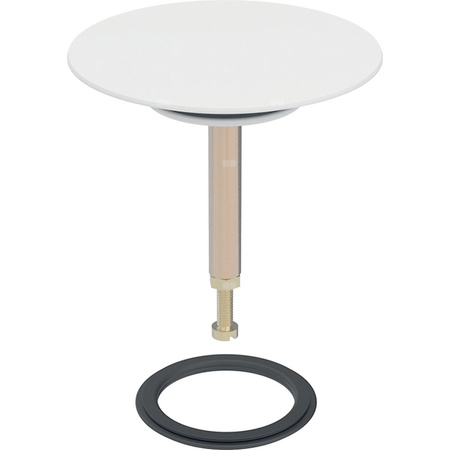 Korek zaworu Geberit, biały-alpin