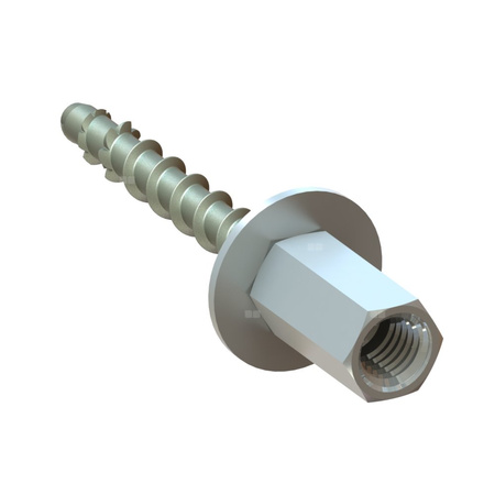 Śruba TSMW M6 55mm SW13 TSMW6L55