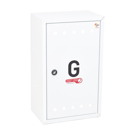 Skrzynka gazowa 300x500x200 LPG, naścienna, stalowa, z płaskim daszkiem,RAL 9003 biała