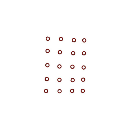 Oring PTFE/FKM DN20 BULK 10 szt.