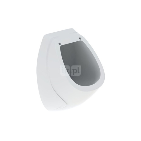 Pokrywa pisuaru Geberit Pareo: Wolne opadanie=Nie, Biały