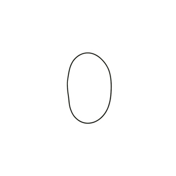 Oring FKM 221.84x3.53