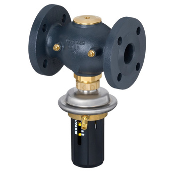 Regulator różnicy ciśnień AVP, PN 25, DN 50, 25.00 m³/h, 0.20 bar - 1.00 bar, kołnierz, G 2 1/2 A
