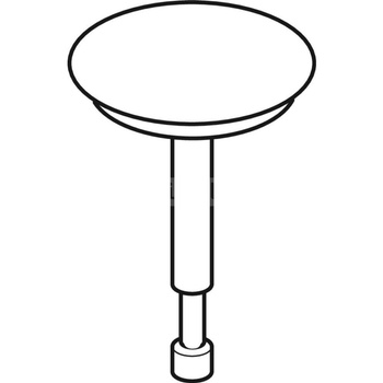 Korek zaworu Geberit: Chrom błyszczący