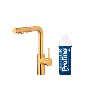DUERO PURE BASIC PULL-OUT BATERIA KUCHENNA Z FUNKCJĄ FILTRACJI WODY I WYCIĄGANĄ WYLEWKĄ, BRUSHED GOLD + ZESTAW FILTRUJĄCY PROFINE BLUE S