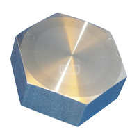 Kołpak gwintowany stal nierdzewna PN 16, przył. 2'' dł.81mm szer.70mm 2501216 WILO