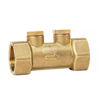 Zawór antyskażeniowy EA 3/4''