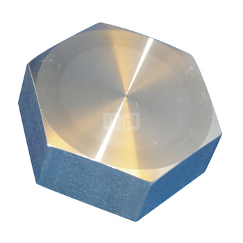 Kołpak gwintowany stal nierdzewna, przył. 3'' dł.126mm szer.109mm WILO