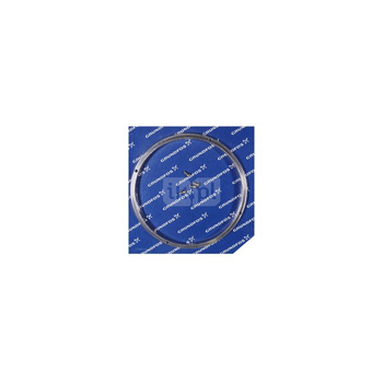 Pierśc. bieżny NKG D224x15 1.4517 M5x10