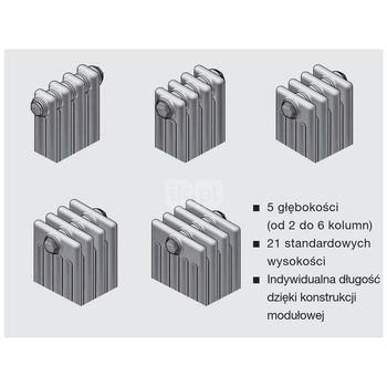 Grzejnik Zehnder Charleston 3045 - 16 elem., Kolor Biały (RAL 9016), Typ złącza Code V001, Wersja zaworu M30x1.5, Ustawienie wstępne Ustawienie wstępne VE9, Zintegrowane konsole naścienne Konsole scienne SMB, Ilość zest naściennych 2