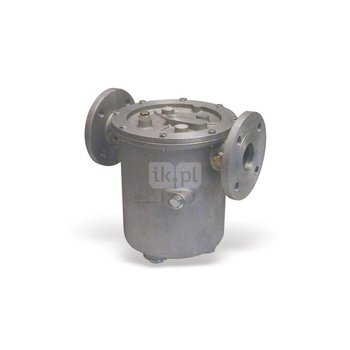 50 300 MICRV7070003F (ER 7070003F FILTRO LINEA DN50 300 MICR V7070003F (ERA SU REVIS.DISTINTA)