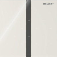 Elektroniczny zawór spłukujący Geberit do pisuaru, zasilanie bateryjne, Typ 40, szkło sand grey, prostokątny