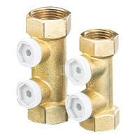 Zawór zwrotny antyskazeniowy gwint wew. typ EA291NF 2"