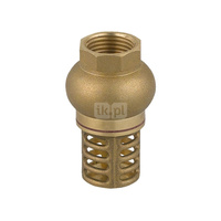 Zawór zwrotny FERRO z mosiężnym koszem ssącym 6/4'' GW PN 10 max. 100'C