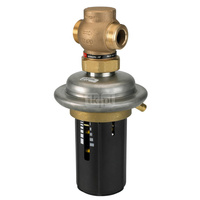 Regulator różnicy ciśnień AVP, PN 25, DN 25, 8.00 m³/h, 0.30 bar - 2.00 bar, Gwint zewnętrzny, G 1 1/4 A