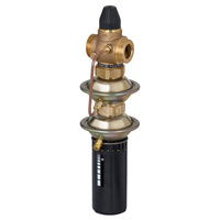 Regulator różnicy ciśnień z ograniczeniem przepływu AVPQ PN16 15/4 01-05/02 gw. pow.