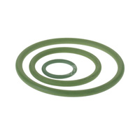O-Ring FPM/Viton Steel/Inox - 76.1