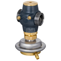 Regulator różnicy ciśnień AVP-F, PN 25, DN 25, 8.00 m³/h, 0.50 bar - 0.50 bar, Gwint zewnętrzny, G 1 1/4 A