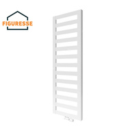 Figuresse Rasp 1798x706 R9005M