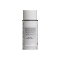 Lakier - spray RAL 9016