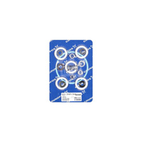 Zestaw napr. CHV 2-40/50 CVBE/V