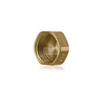 Zaślepka mosiądz FITTING NORMAL 3/4'' GW