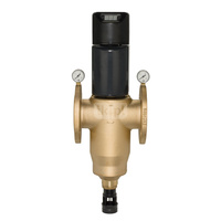 BWT MULTIPUR 65 AP - filtr z automatycznym płukaniem przeciwprądowym (100 µm)