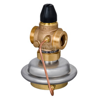 Regulator różnicy ciśnień z ograniczeniem przepływu AVQ PN25 25/8 /02 gw. zas./pow.