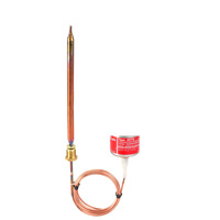 Siłownik termostatyczny AVTB 20-60 st.C 2m, 9,5x180 mm cz.zam