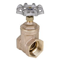 Zasuwa odcinająca DN 100 - żeliwo 