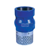 Kosz ssawny gwintowany wew., zamknięcie grzybkowe wspomagane sprężyną, typ 102, 4"