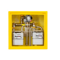 Punkt redukcyjno-pomiarowy na 2 gazomierze G4, w skrzynce z laminatu 600x600x250 - popielaty