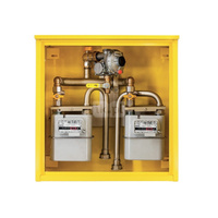 Punkt redukcyjno-pomiarowy na 2 gazomierze G4, w skrzynce metalowej 600x600x250 - popielaty