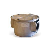 Gasfilter 70602/1B FILTRO GAS 1" (1BAR) 